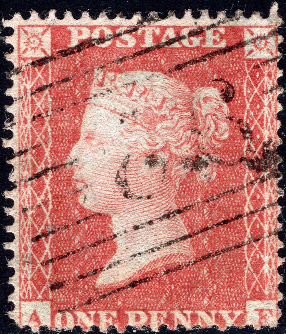 Plate 4 A-F