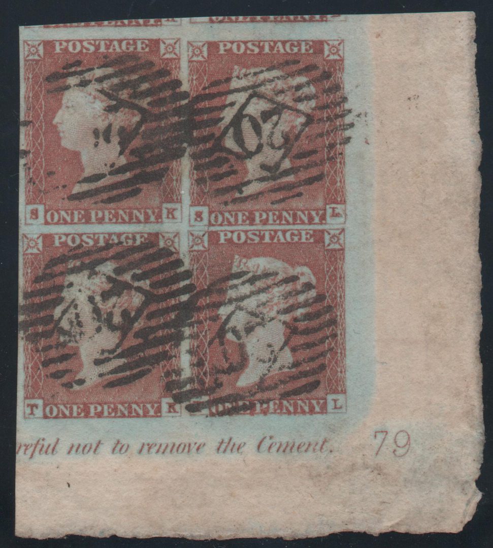 Plate 79 T-L