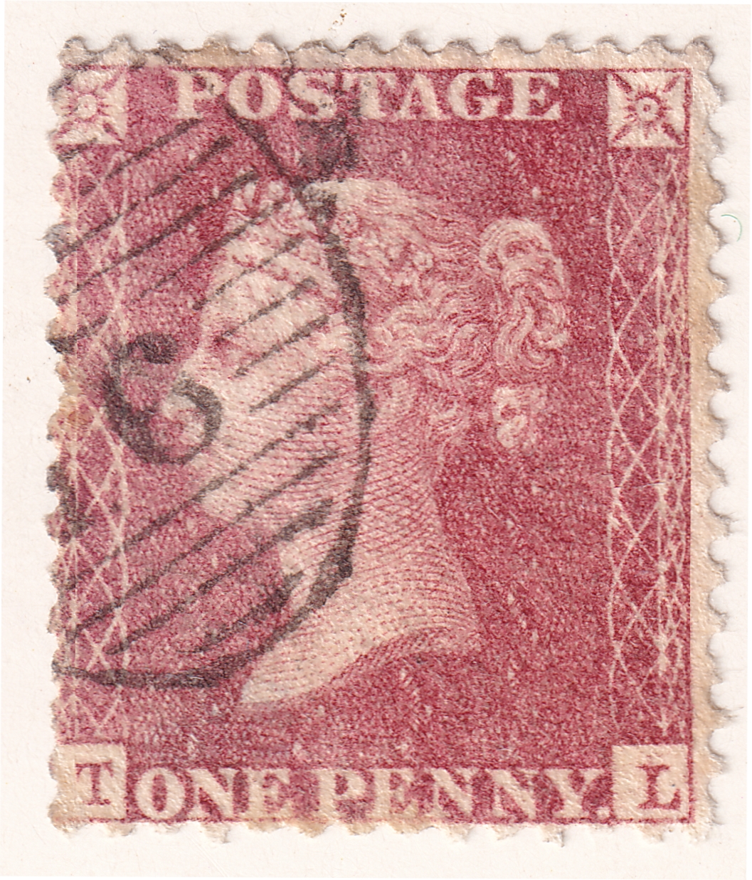 Plate 44 T-L