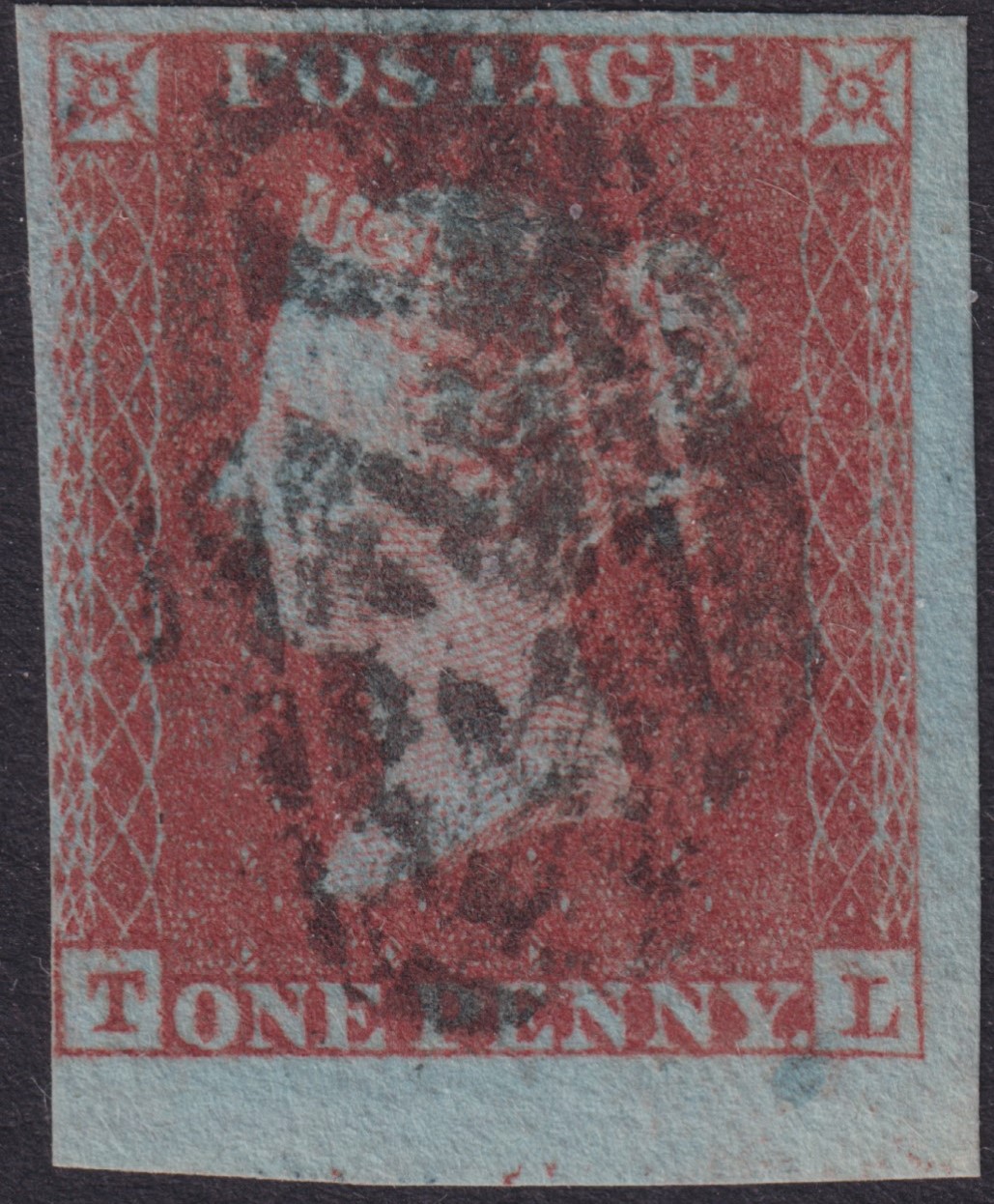 Plate 141 T-L