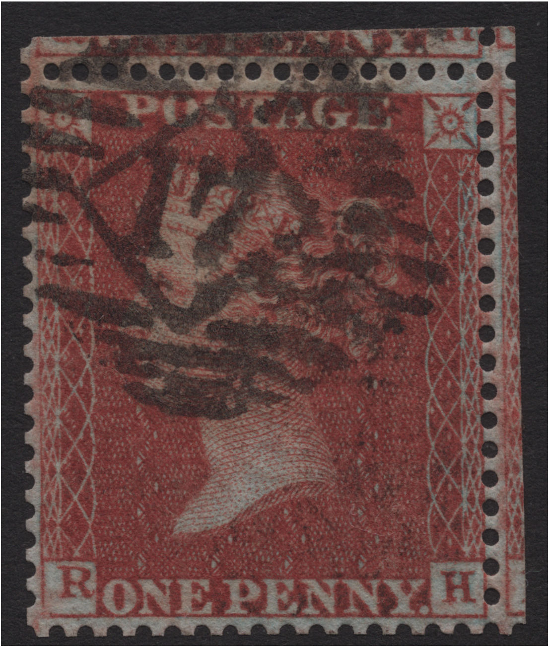 Plate 5 R-H