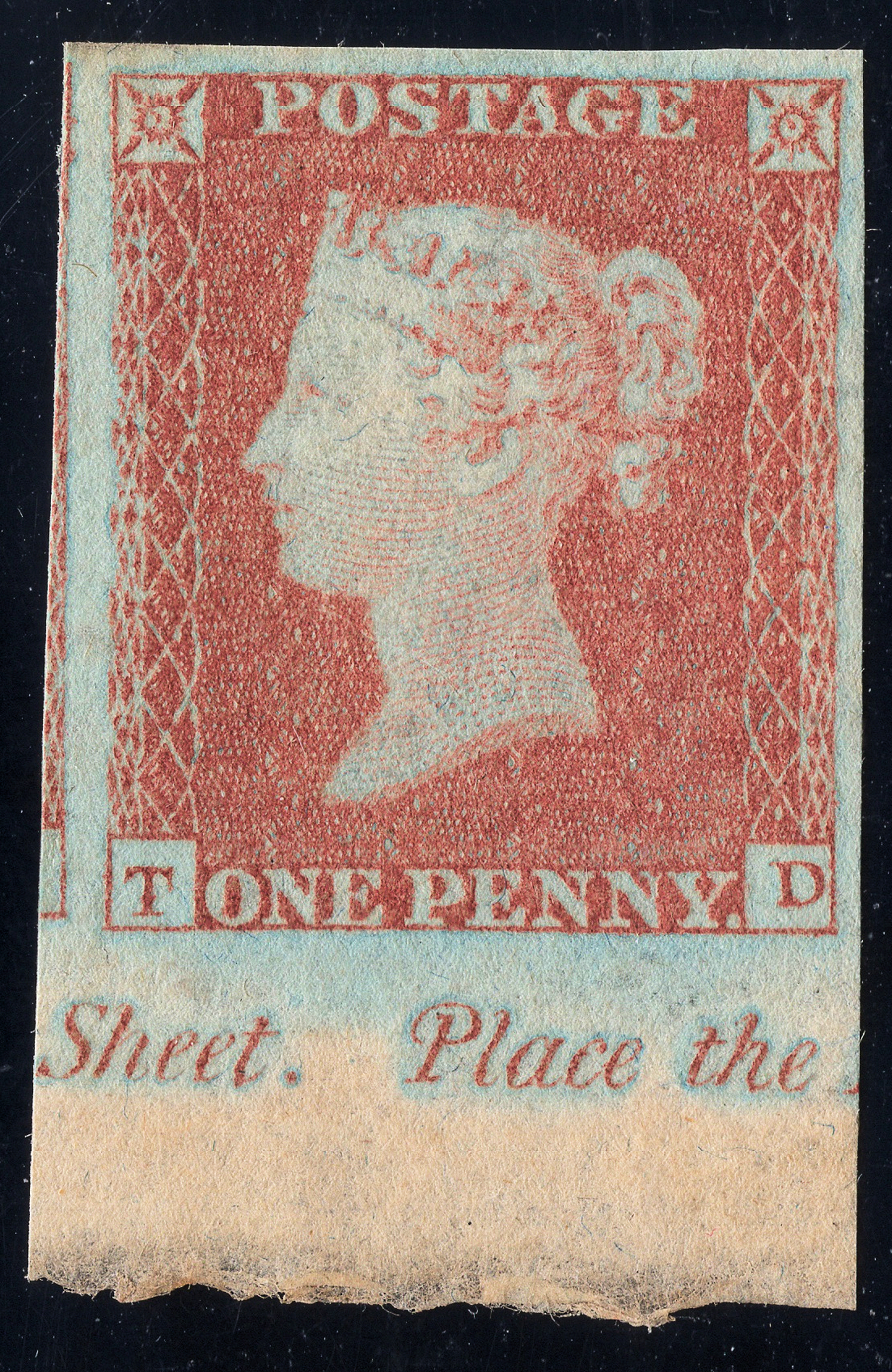 Plate 113 T-D