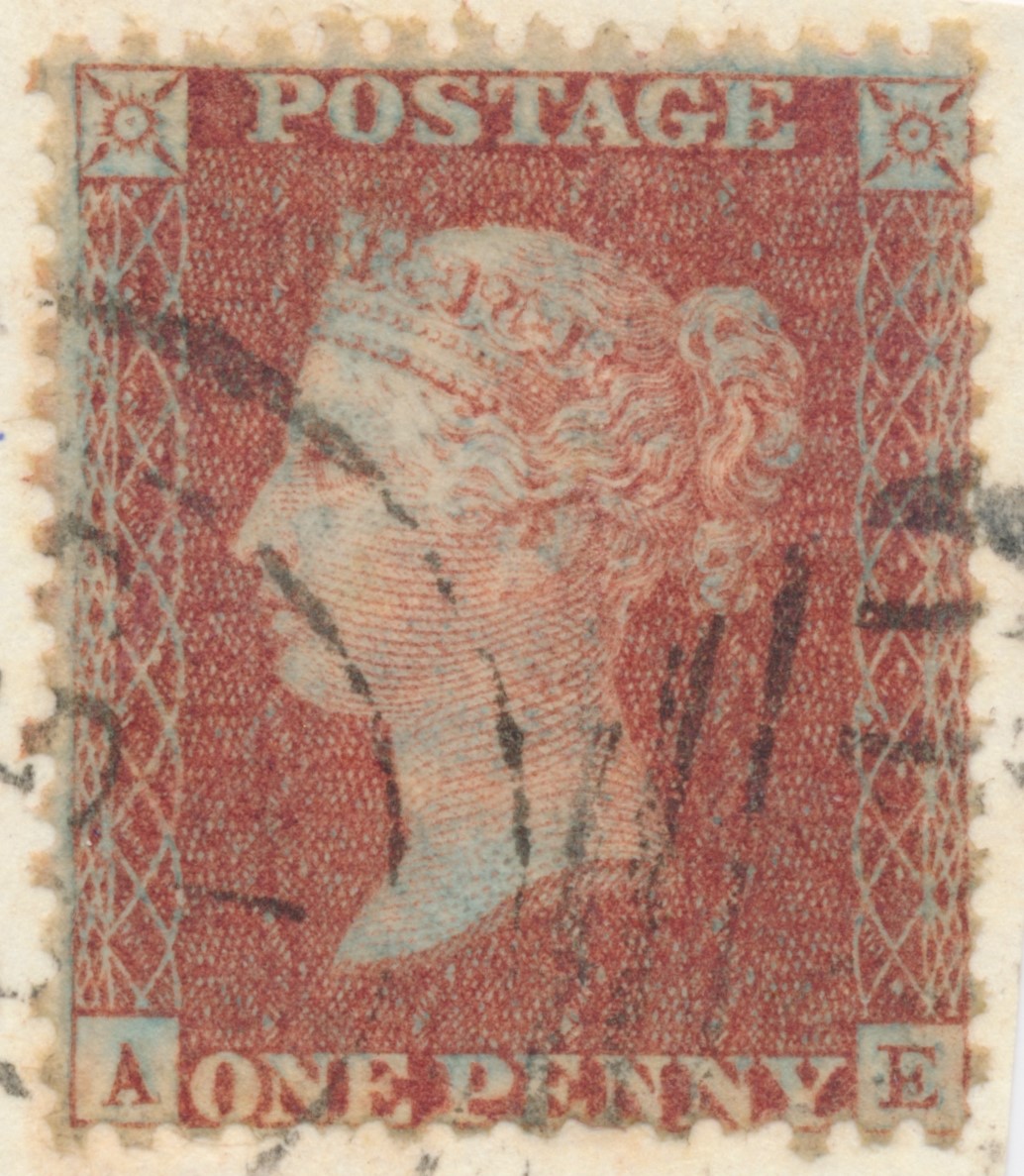 Plate 23 A-E