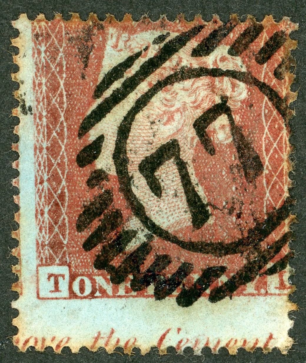 Plate 177 T-L