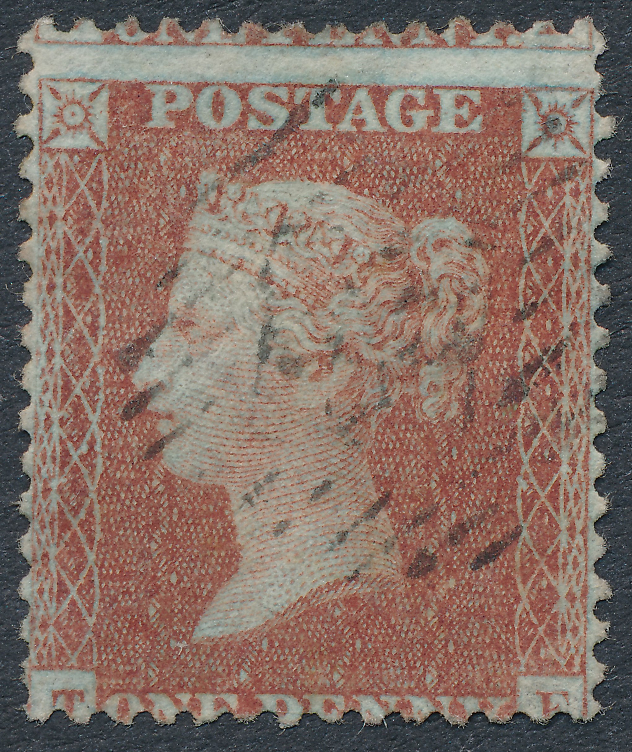 Plate 22 T-E