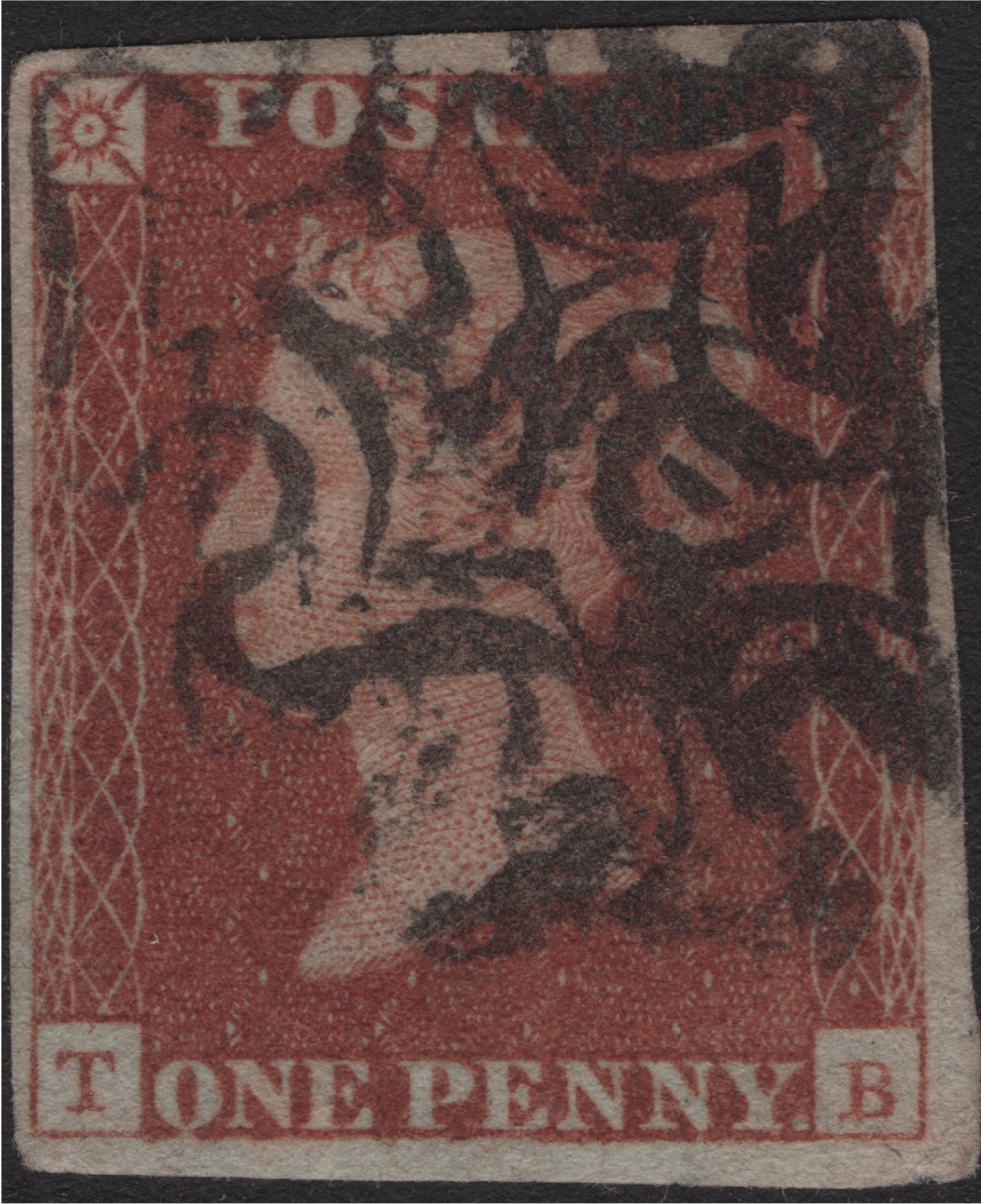 Plate 12 T-B