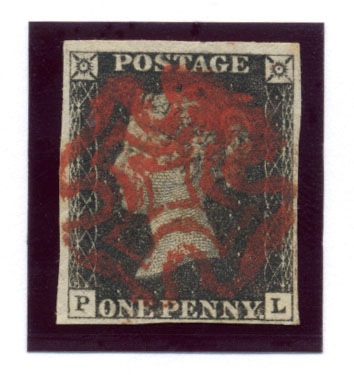 Plate 6 P-L