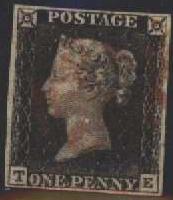 Plate 6 T-E