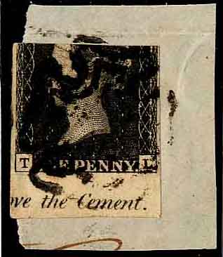 Plate 6 T-L