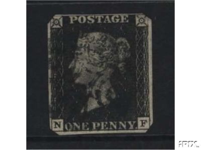 Plate 8 N-F