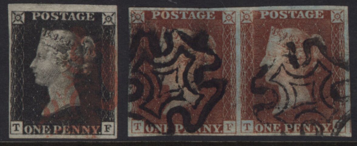 Plate 8 T-F, T-G