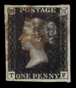 Plate 8 T-F