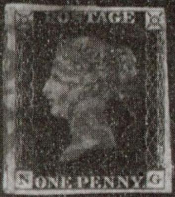 Plate 11 N-G