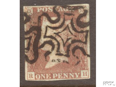Plate 8 R-H