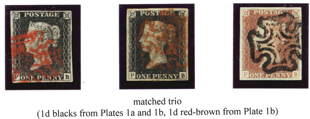 Plate 1B P-B