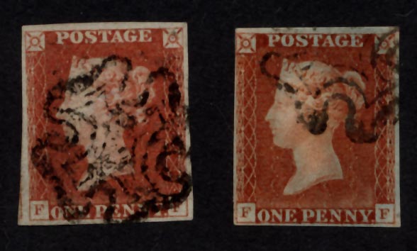 Plate 9 F-F