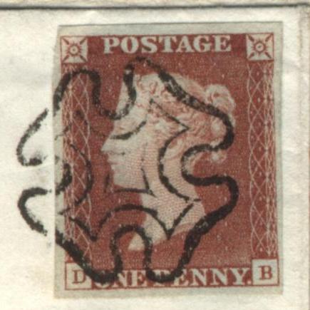 Plate 1B D-B