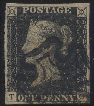 Plate 8 T-G