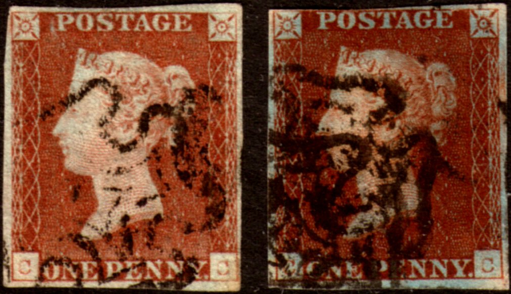 Plate 5 C-C