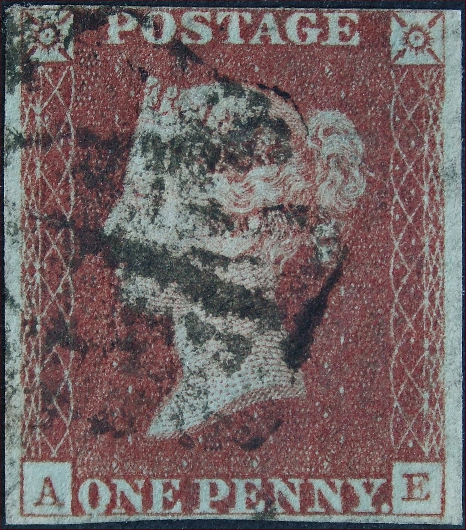Plate 5 A-E