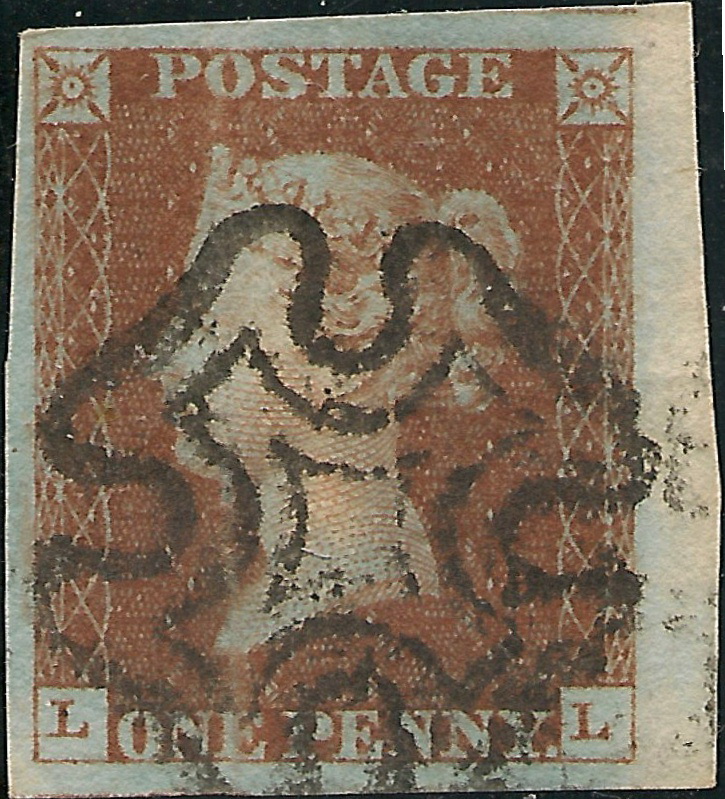 Plate 8 L-L