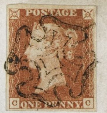 Plate 8 C-C
