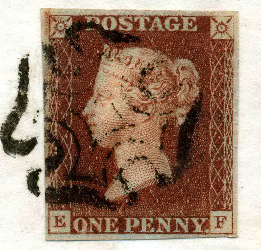 Plate 8 E-F