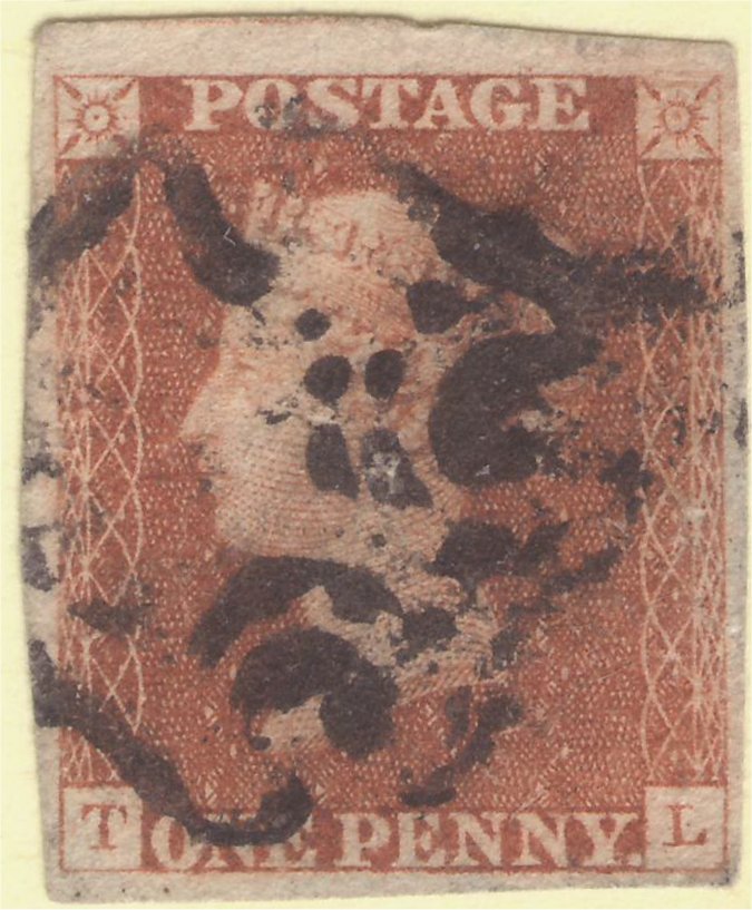 Plate 8 T-L