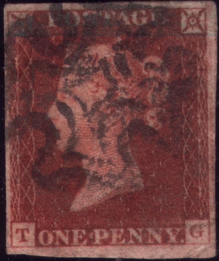 Plate 8 T-G
