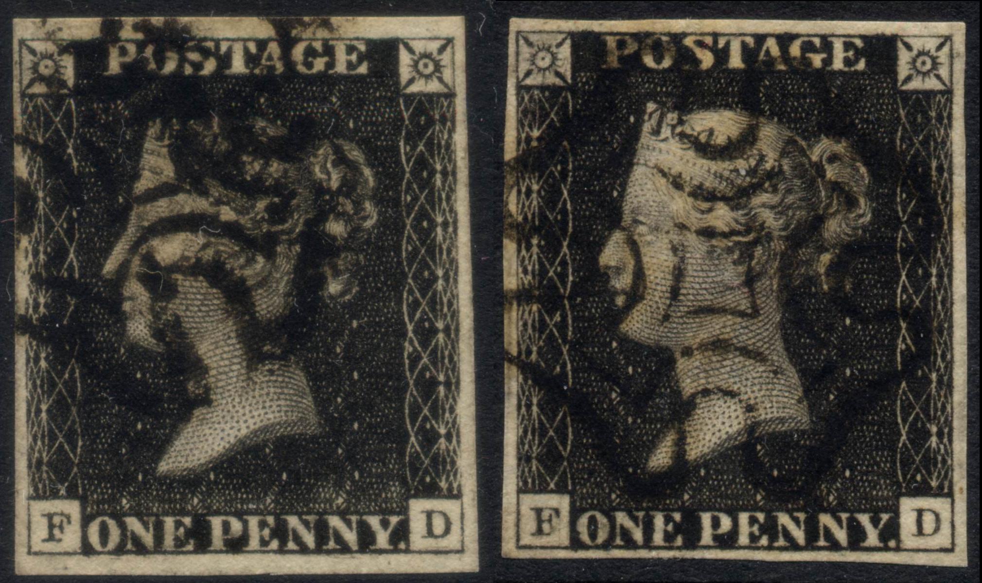 Plate 5 F-D
