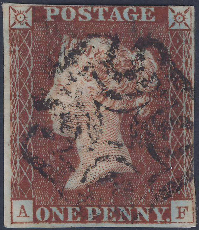 Plate 8 A-F