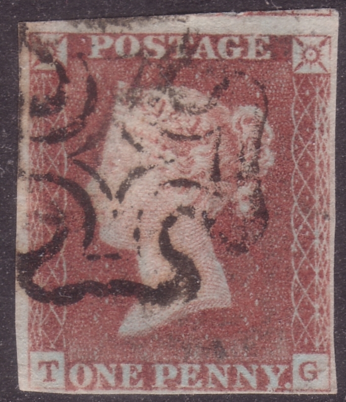 Plate 5 T-G