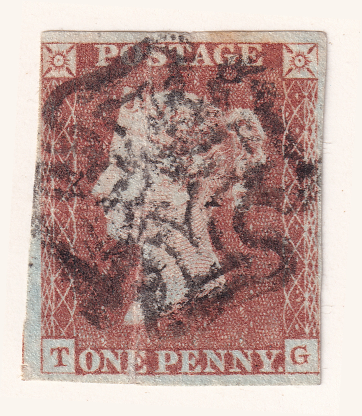 Plate 5 T-G