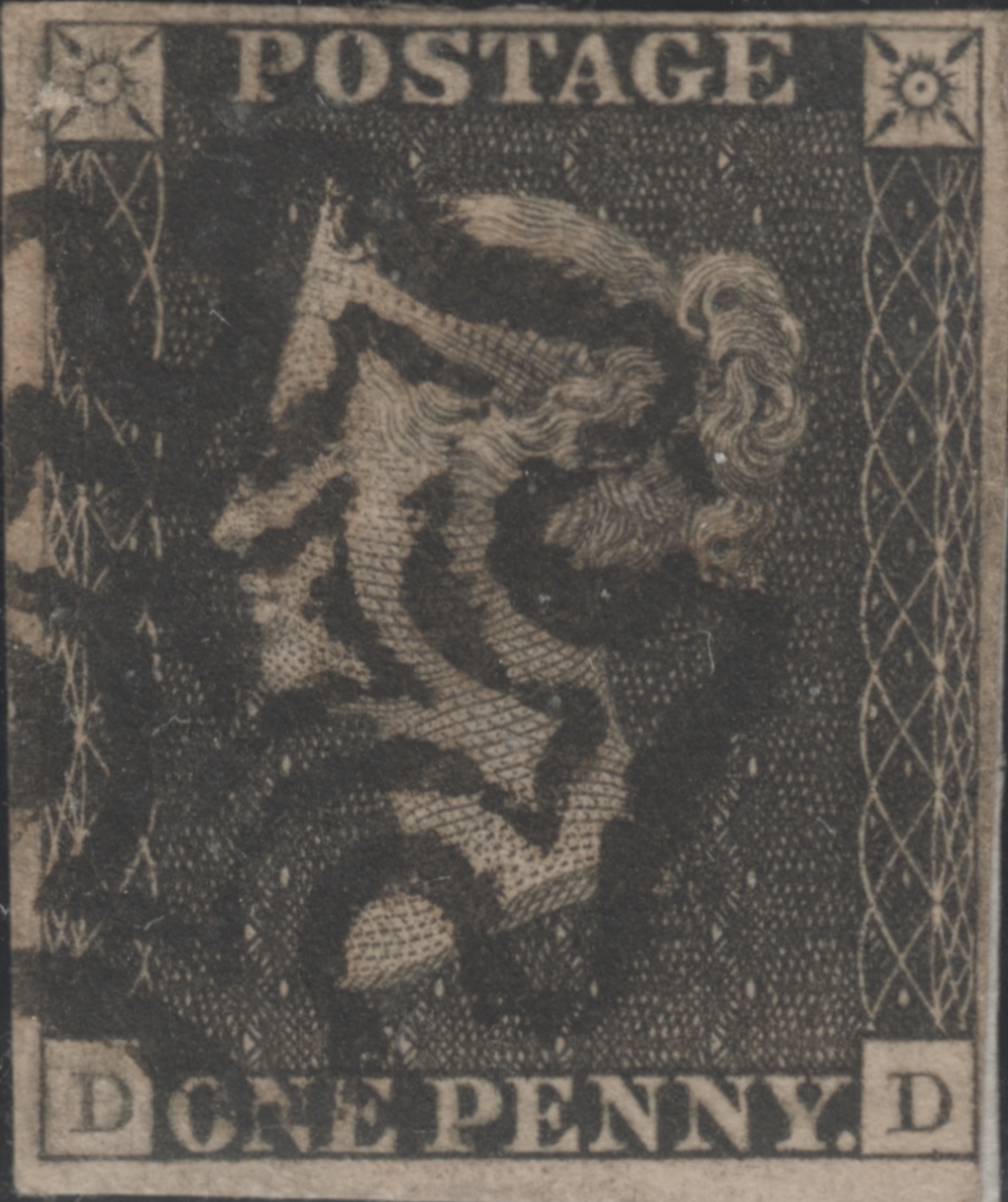 Plate 5 D-D