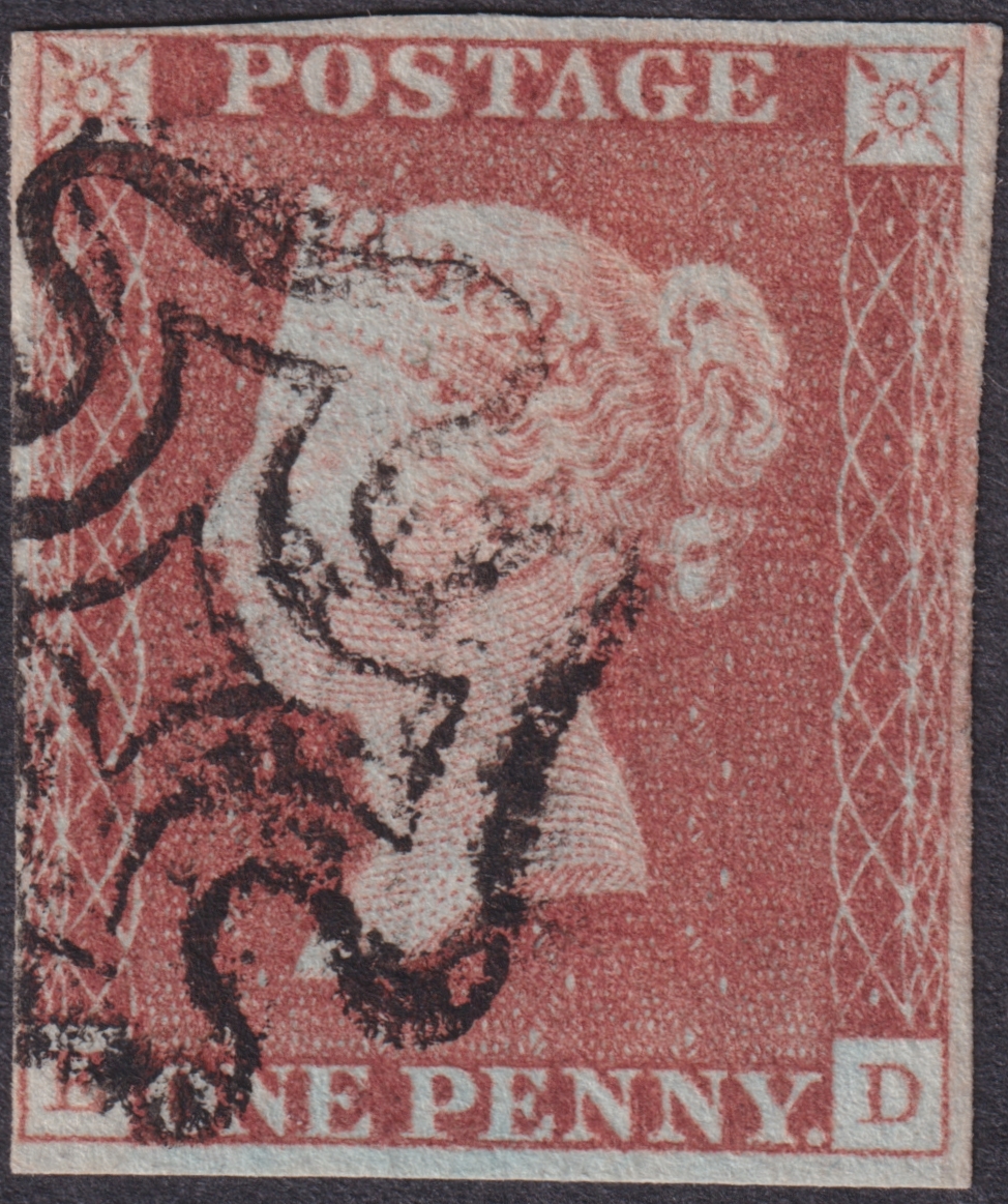 Plate 5 E-D