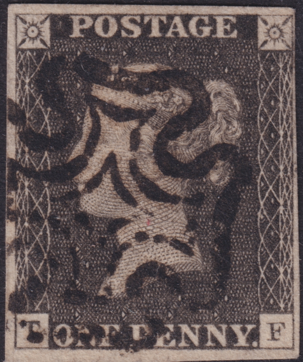 Plate 8 T-F